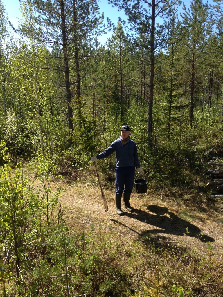 Nicke är redo med ruska och hink