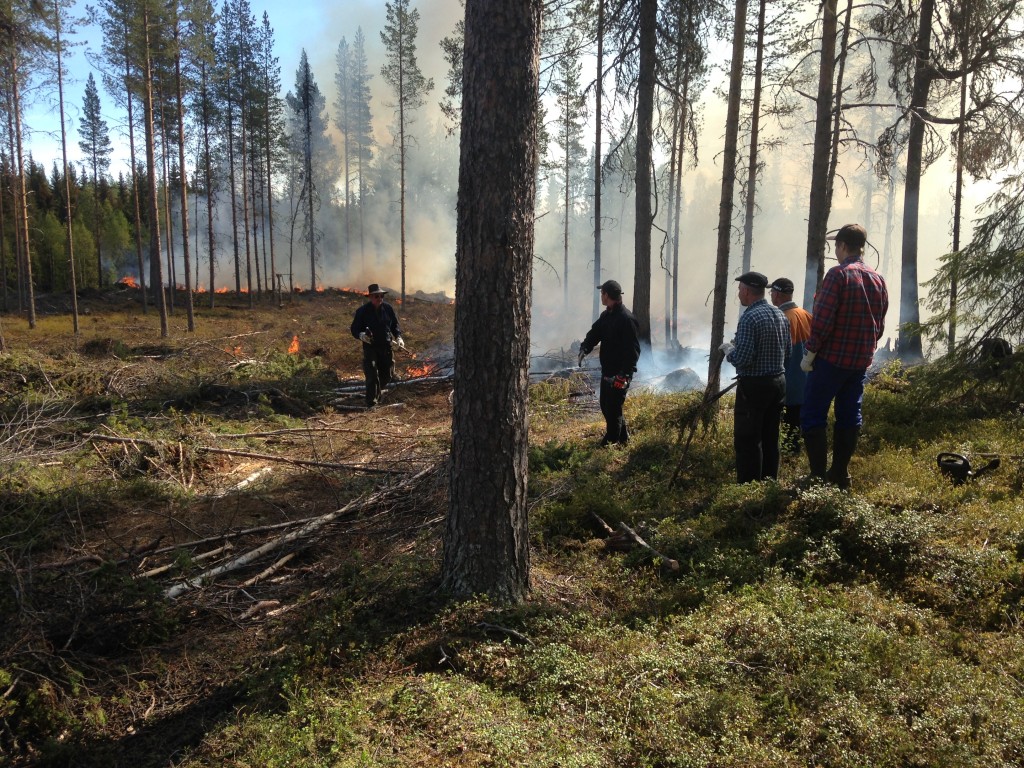 Upprätning av front