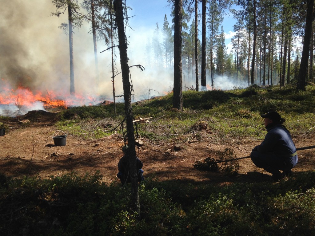 Tore lär mamma Fia hur det ska gå till