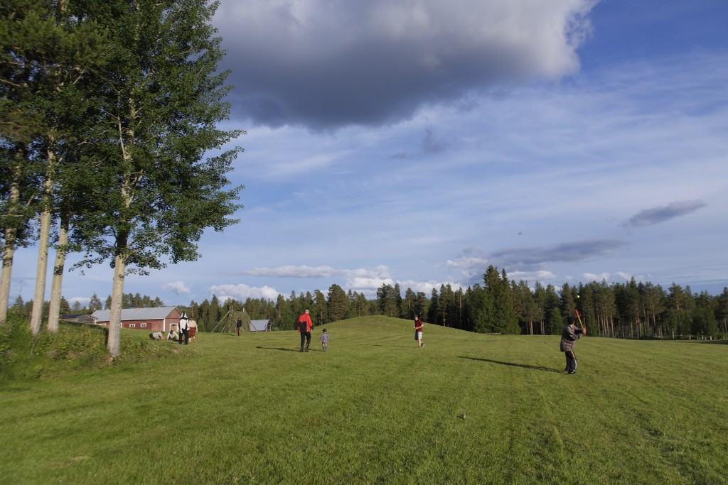 Slåtter Dante 4 år 154